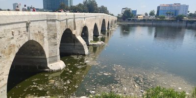 Seyhan Nehri'nde kirlilik: İzmir Körfezinden bile daha kötü durumda