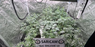 Apartman dairesine uyuşturucu serası kurmuşlar: 3 kişi gözaltına alındı