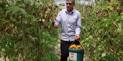 Yetiştirdiği ürünleri, aracısız satan çiftçinin yüzü güldü