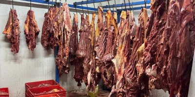 Adana'da 3 ton bozulmuş at eti ele geçirildi