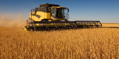 Adana ve Mersin'de 2025 yılı buğday biçim ücretleri belirlendi