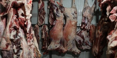 At ve eşek eti haberleri Adanalıları rahatsız etti