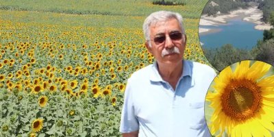 Adana'da kuraklığa meydan okuyan 'sarı altın': Petrolden daha kıymetli, bölge için kritik önem taşıyor