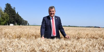 "Yanlıştan dönülsün, fiyat en az 20 lira olarak revize edilsin"