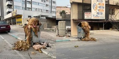 Arefe Günü uyardık! Adana'da çöpler kurban derileriyle taştı!