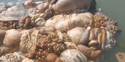 Adana’da sulama kanalları hayvan pislikleriyle doldu taştı