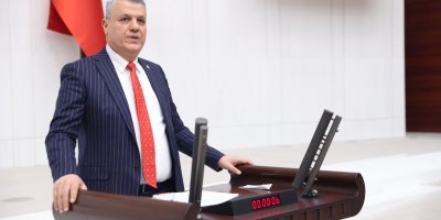 "Yine rant ve talan hırsıyla zeytinliklere göz diktiler"