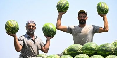 Adana'da karpuzun fiyatı sudan ucuz hale geldi... 'Rakam 25 liradan buraya geriledi'
