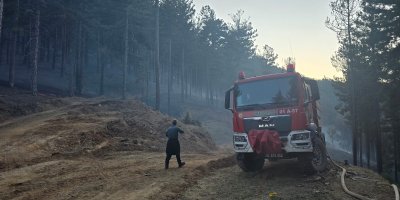 Adana'nın Feke ilçesinde orman yangını çıktı! Yangın kontrol altında!