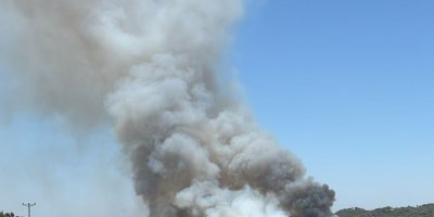 Adana'da orman yangını