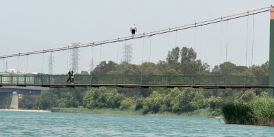 Gençlerden tehlikeli hareketler: Köprünün halatlarına tırmanıp atladılar