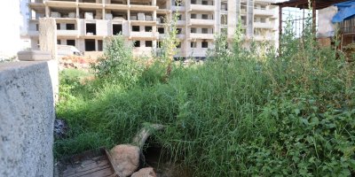 Adana'da çevre skandalı: Boru döşeyip lagımı Kilgen Çayı'na bırakmışlar