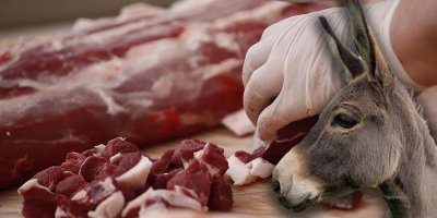 Zehirlemekten bıkmadılar! Adana'da eşek eti satışı devam ediyor!