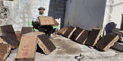 Bu da Adana usulü "sinekle mücadele"