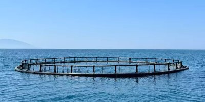 Adana'da devreye alındı! Tam 27.500 ton kapasiteli, bölgede lider olacak!