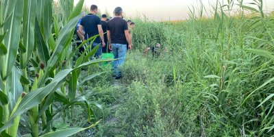 Adana'da sazlıklar arasında bir kişi ölü bulundu