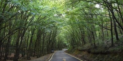 Adana'da ormanlık alanlara girişler yasaklandı! Serbest olan alanlar neresi?