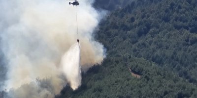 Kozan'da çıkan orman yangını kontrol altına alındı!