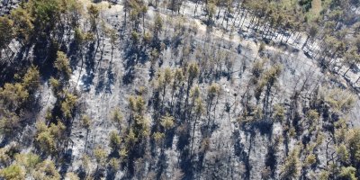 Adana'da 14 saatte 250 hektar orman yandı, acı bilanço havadan görüntülendi