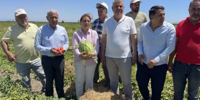 Ayhan Barut ''Kendi ülkemizde sahipsiz ve yetim kaldık"