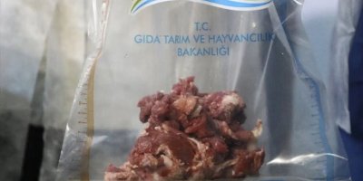 Adanalılar ne yiyeceğini şaşırdı! Yine at eti çıktı!