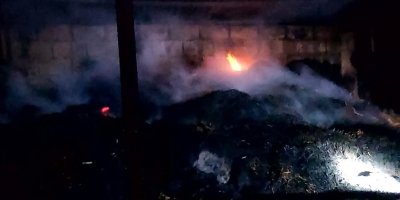 Adana'da yangında 5 inek telef oldu