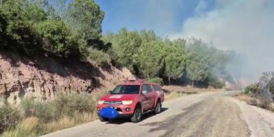 Adana'da bir orman yangını daha!