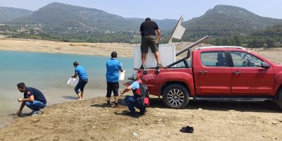 Kilgen Barajı'na 321 bin yavru sazan, baraja bırakıldı
