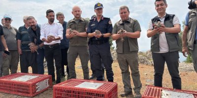 Adana'da doğaya 500 keklik salındı