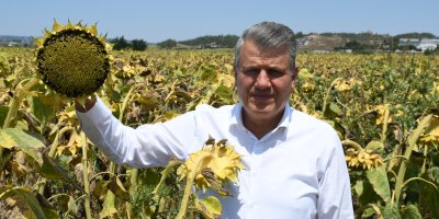 "İktidarın sıfır gümrük vergili ithalat aşkı bitmiyor"