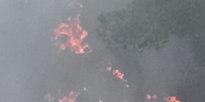 Kozan'da ormanlık alanda yangın çıktı