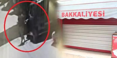 Mahalleli bakkala güvenip tüm birikimini kaptırdı 