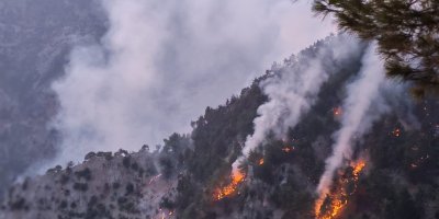 Kozan’daki orman yangını kısmen kontrol altında