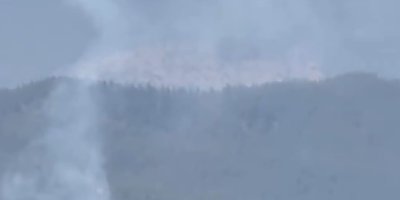 Adana Aladağ'da orman yangını çıktı