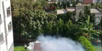 MHP Adana İl Başkanı Yusuf Kanlı ''İlaçlama hem etkisiz hem yetersiz"