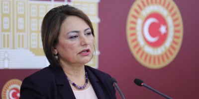 CHP'li Müzeyyen Şevkin'den 'Hurda Teşvik Kanunu Teklifi'