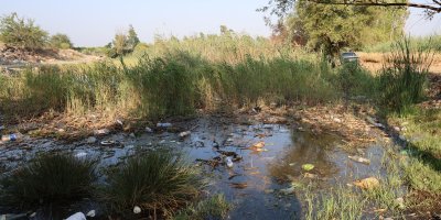 Göletler çöple doldu, muhtar isyan etti: "Kirletecekseniz gelmeyin"