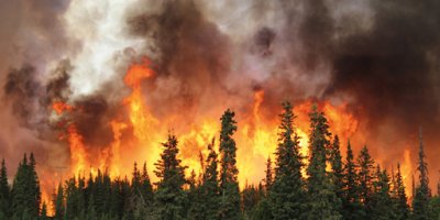 Tarım Platformu’ndan orman yangınlarıyla ilgili sert uyarı