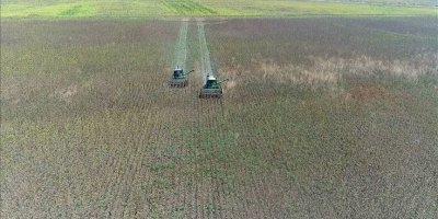 İki yıl ekilmeyen araziler kiralanacak