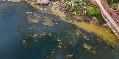 Seyhan Nehri yosun akınına uğradı, çöplerle doldu