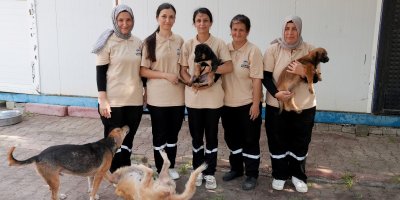 Çukurova Beledıyesi'nden can dostlara şefkat eli: "Barınak melekleri" görev başında