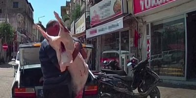 Hijyen kurallarına uymadan otomobil bagajında et taşıdılar