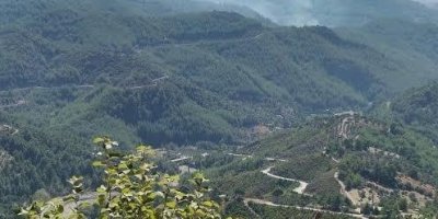 Adana Orman Bölge Müdürlüğü’nden tüm Adanalılara kritik uyarı geldi.