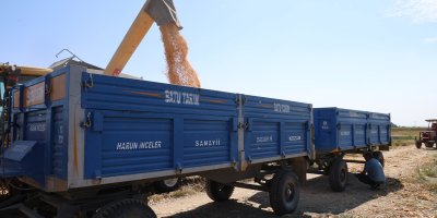 Adana'da aşırı sıcaklarda üreticilerin zorlu mesaisi