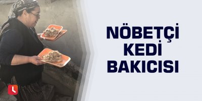 Nöbetçi kedi bakıcısı
