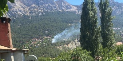 Pozantı'da çıkan orman yangını kontrol altına alındı