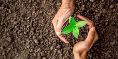 Gündoğdu’dan fidan kampanyası