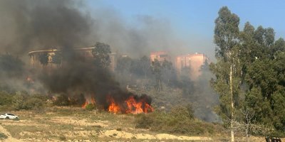 Adana'da yerleşim yeri çevresinde ağaçlık alanda çıkan yangın korkuttu