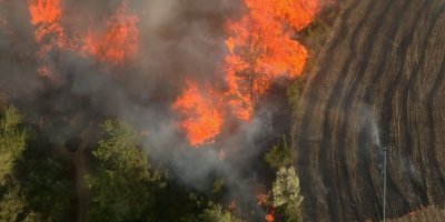 İmamoğlu ilçesinde ormanlık alanda yangın çıktı