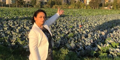 Tarım ve hayvancılık 'acil durum sinyali' veriyor!